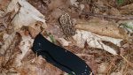 Knife Geology Blade Plant Soil