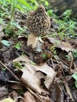 IMG_6798.jpeg