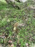 IMG_6909.jpeg