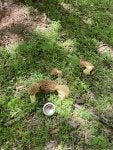 IMG_6908.jpeg