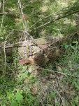 IMG_6905.jpeg