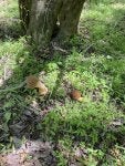 IMG_6902.jpeg