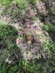 IMG_6901.jpeg