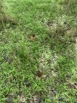 IMG_6900.jpeg