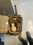 IMG_6910.jpeg